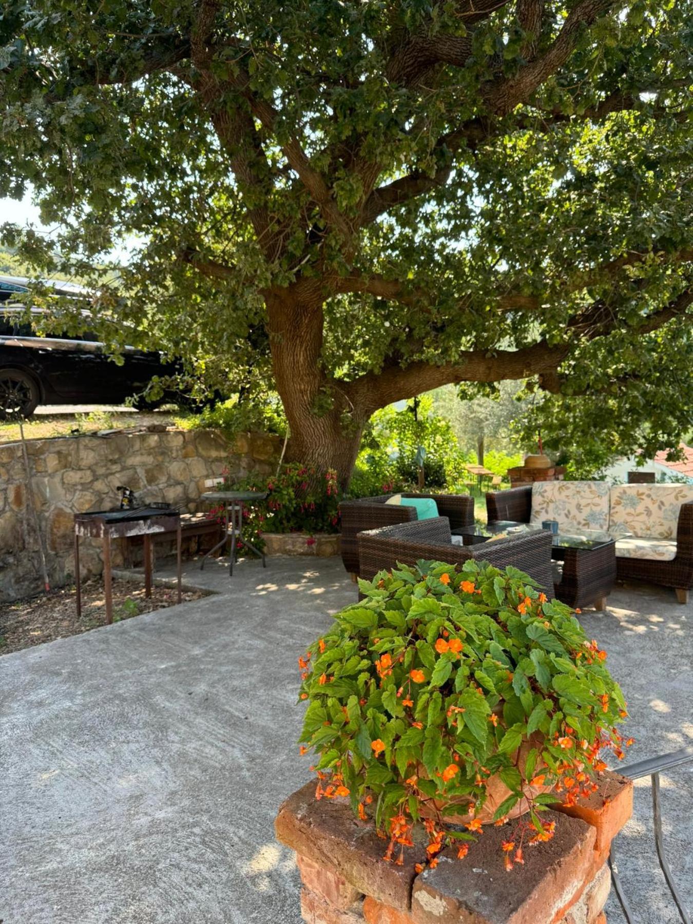 Apartments Dumicic Supetarska Draga Esterno foto